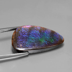 Ammolite Multicolore naturale da 15.59 ct, Forma fantasia, Opaco