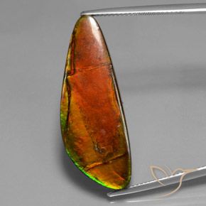 18.60ct Naturale Multicolore Ammolite, Taglio a fantasia, Opaco