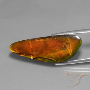 Ammolite Multicolore naturale da 18.60 ct, Taglio a fantasia, Opaco