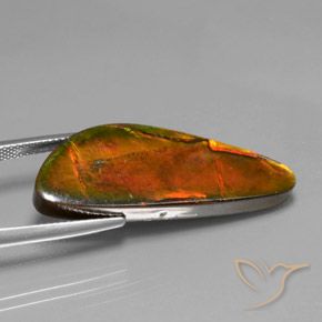 Ammolite Multicolore naturale da 18.60 ct, Taglio a fantasia, Opaco