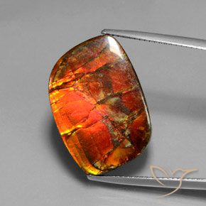 17.18ct Naturale Multicolore Ammolite, Taglio a fantasia, Opaco