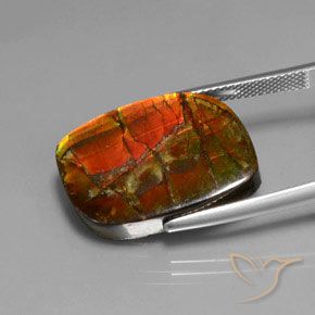 Ammolite Multicolore naturale da 17.18 ct, Taglio a fantasia, Opaco