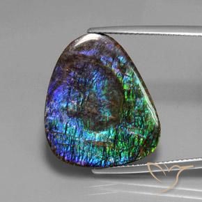 18.37ct Naturale Multicolore Ammolite, Taglio a fantasia, Opaco