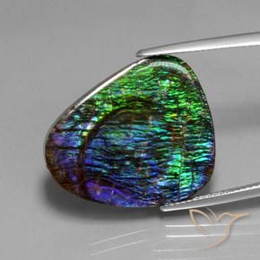 Ammolite Multicolore naturale da 18.37 ct, Taglio a fantasia, Opaco