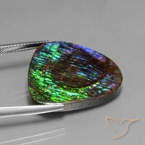 Ammolite Multicolore naturale da 18.37 ct, Taglio a fantasia, Opaco
