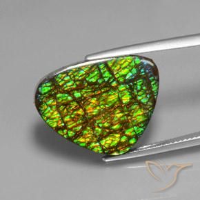 19.08ct Naturale Multicolore Ammolite, Taglio trillion, Opaco