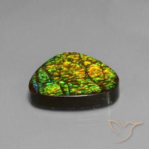 Ammolite Multicolore naturale da 19.08 ct, Taglio trillion, Opaco