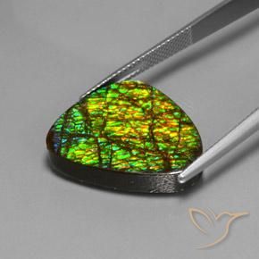 Ammolite Multicolore naturale da 19.08 ct, Taglio trillion, Opaco