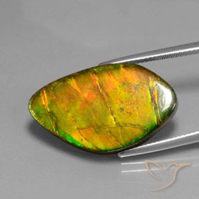 Ammolite Multicolore naturale da 15.41 ct, Taglio a fantasia, Opaco