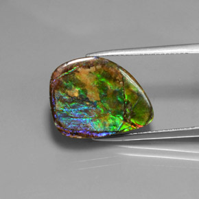 Ammolite Multicolore naturale da 10.38 ct, Forma fantasia, Opaco