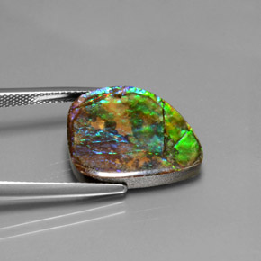 Ammolite Multicolore naturale da 10.38 ct, Forma fantasia, Opaco