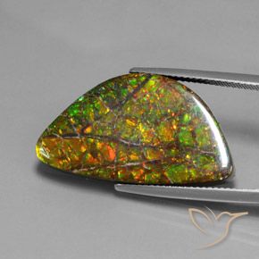 17.66ct Naturale Multicolore Ammolite, Taglio a fantasia, Opaco