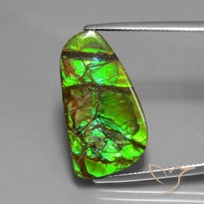 12.43ct Naturale Multicolore Ammolite, Taglio a fantasia, Opaco