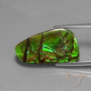 Ammolite Multicolore naturale da 12.43 ct, Taglio a fantasia, Opaco