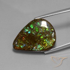 Ammolite Multicolore naturale da 14.33 ct, Forma a pera, Opaco