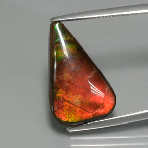 Ammolite naturale multicolore da 7,72 ct, forma fantasia, opaco