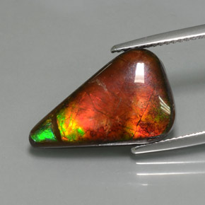 Ammolite naturale multicolore da 7,72 ct, forma fantasia, opaco