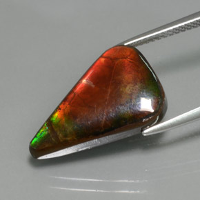 Ammolite naturale multicolore da 7,72 ct, forma fantasia, opaco