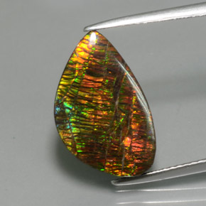 Ammolite Multicolore naturale da 5.72 ct, Forma fantasia, Opaco