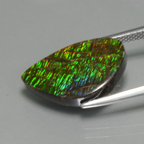 Ammolite Multicolore naturale da 5.72 ct, Forma fantasia, Opaco