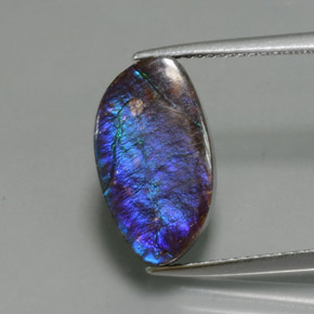 Ammolite Multicolore naturale da 4.88 ct, Forma fantasia, Opaco