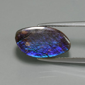 Ammolite Multicolore naturale da 4.88 ct, Forma fantasia, Opaco