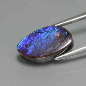 Ammolite Multicolore naturale da 4.88 ct, Forma fantasia, Opaco