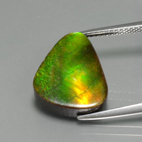 Ammolite naturale multicolore da 6,81 ct, forma fantasia, opaco