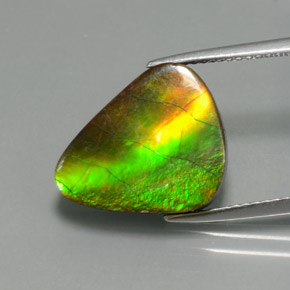 Ammolite naturale multicolore da 6,81 ct, forma fantasia, opaco