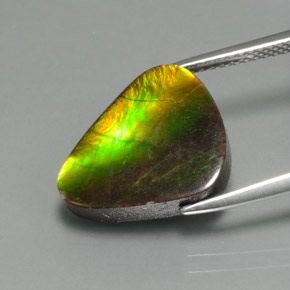 Ammolite naturale multicolore da 6,81 ct, forma fantasia, opaco