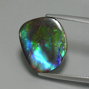 Ammolite Multicolore naturale da 8.30 ct, Forma fantasia, Opaco