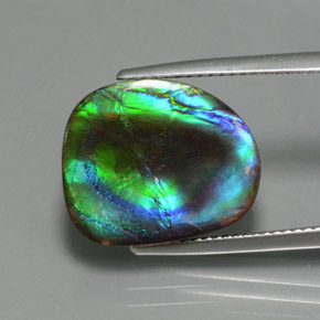 Ammolite Multicolore naturale da 8.30 ct, Forma fantasia, Opaco