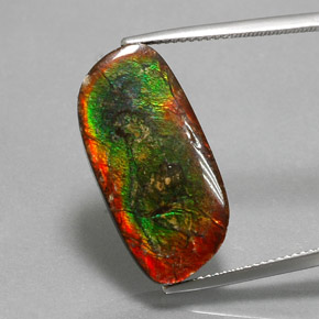 Ammolite Multicolore naturale da 12.96 ct, Forma fantasia, Opaco
