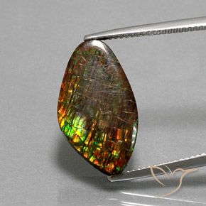 10.29ct Naturale Multicolore Ammolite, Taglio a fantasia, Opaco