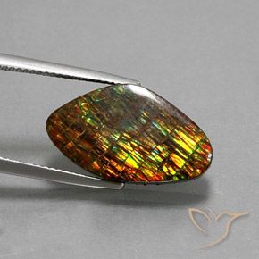 Ammolite Multicolore naturale da 10.29 ct, Taglio a fantasia, Opaco