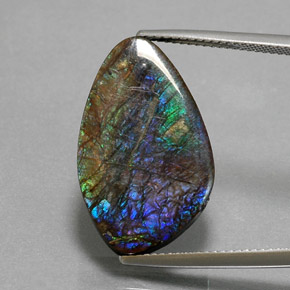 Ammolite naturale multicolore da 10,99 ct, forma fantasia, opaco
