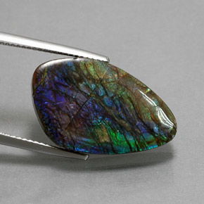 Ammolite naturale multicolore da 10,99 ct, forma fantasia, opaco