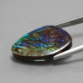 Ammolite naturale multicolore da 10,99 ct, forma fantasia, opaco