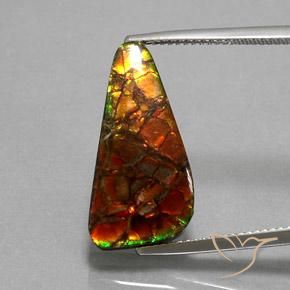 Ammolite Multicolore naturale da 10.25 ct, Taglio trillion, Opaco