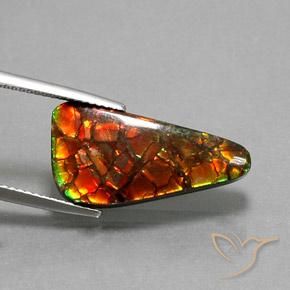 Ammolite Multicolore naturale da 10.25 ct, Taglio trillion, Opaco