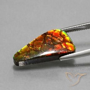 Ammolite Multicolore naturale da 10.25 ct, Taglio trillion, Opaco