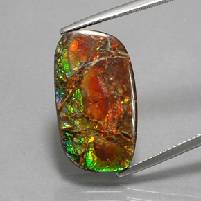 Ammolite naturale multicolore da 11,39 ct, forma fantasia, opaco