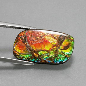 Ammolite naturale multicolore da 11,39 ct, forma fantasia, opaco