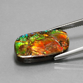 Ammolite naturale multicolore da 11,39 ct, forma fantasia, opaco