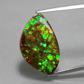 Ammolite Multicolore naturale da 11.61 ct, Forma fantasia, Opaco