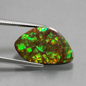 Ammolite Multicolore naturale da 11.61 ct, Forma fantasia, Opaco