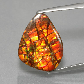 Ammolite naturale multicolore da 11,57 ct, forma fantasia, opaco