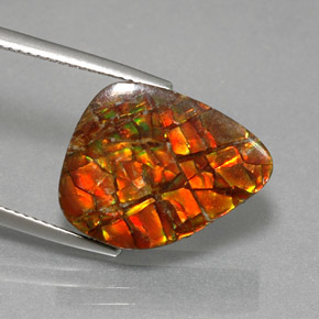 Ammolite naturale multicolore da 11,57 ct, forma fantasia, opaco
