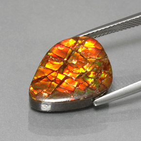 Ammolite naturale multicolore da 11,57 ct, forma fantasia, opaco