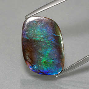 Ammolite naturale multicolore da 8,79 ct, forma fantasia, opaco